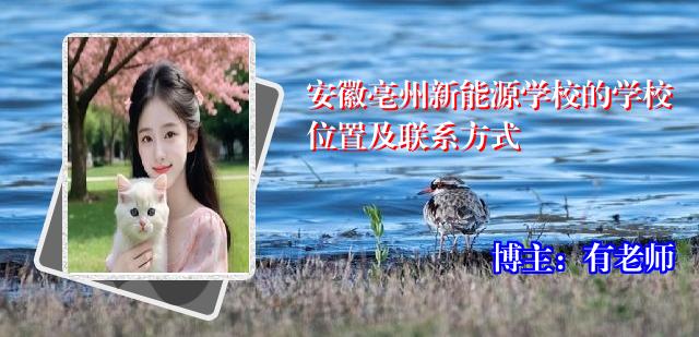 安徽亳州新能源学校的学校位置及联系方式