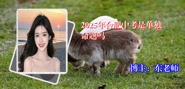 2025年合肥中考是单独命题吗