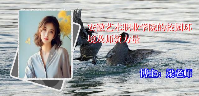 安徽艺术职业学院的校园环境及师资力量
