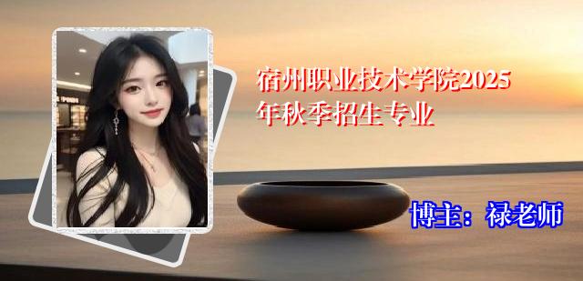 宿州职业技术学院2025年秋季招生专业
