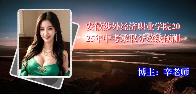 安徽涉外经济职业学院2025年中考录取分数线预测