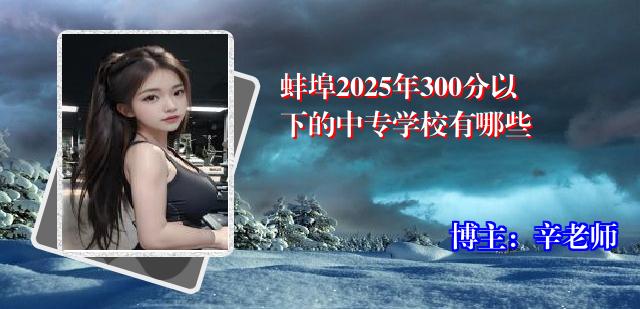 蚌埠2025年300分以下的中专学校有哪些