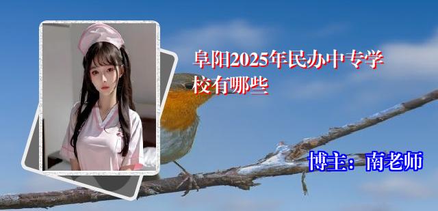 阜阳2025年民办中专学校有哪些