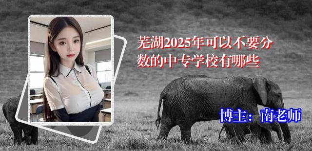 芜湖2025年可以不要分数的中专学校有哪些