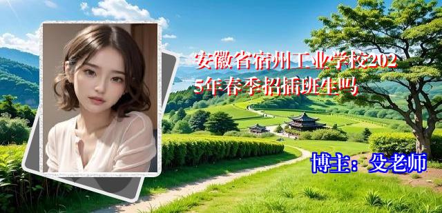 安徽省宿州工业学校2025年春季招插班生吗