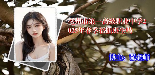 亳州市第一高级职业中学2025年春季招插班生吗
