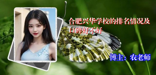 合肥兴华学校的排名情况及口碑好不好