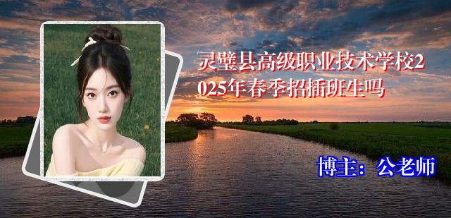 灵璧县高级职业技术学校2025年春季招插班生吗