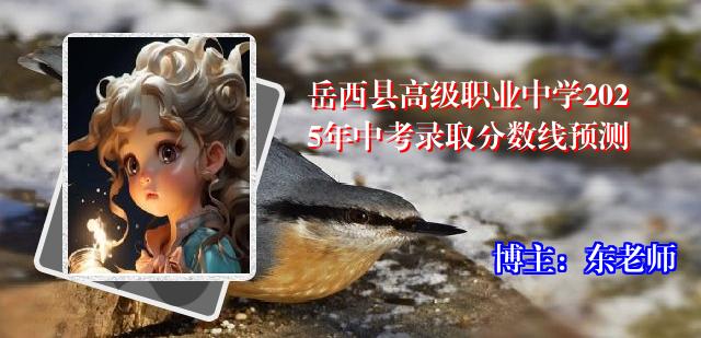 岳西县高级职业中学2025年中考录取分数线预测