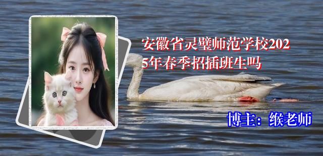 安徽省灵璧师范学校2025年春季招插班生吗