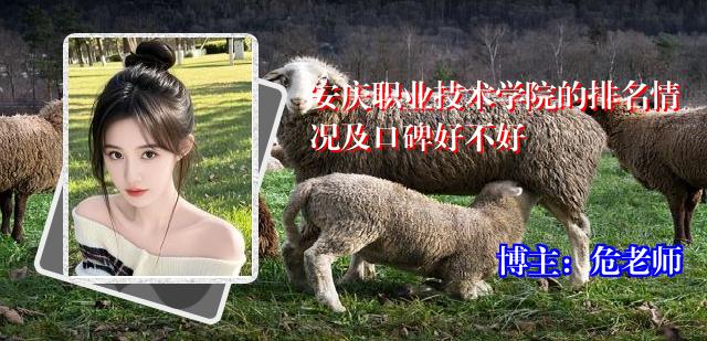 安庆职业技术学院的排名情况及口碑好不好