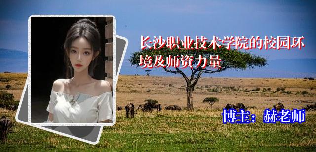 长沙职业技术学院的校园环境及师资力量