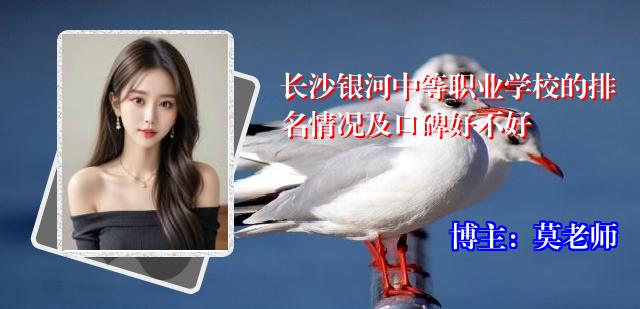 长沙银河中等职业学校的排名情况及口碑好不好
