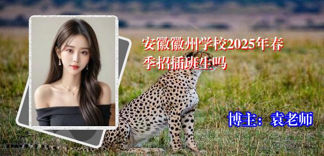 安徽徽州学校2025年春季招插班生吗