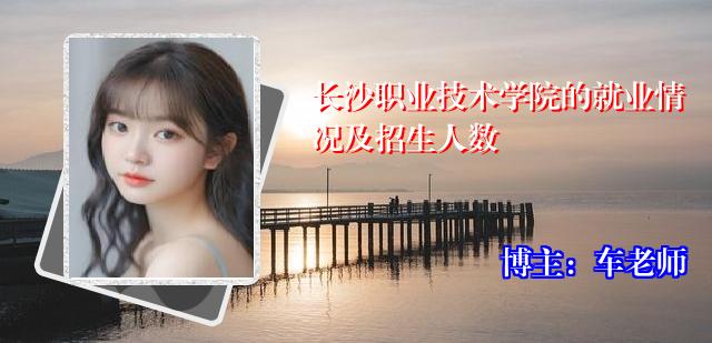 长沙职业技术学院的就业情况及招生人数