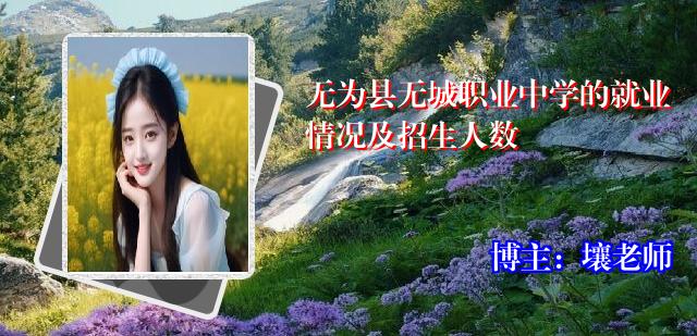 无为县无城职业中学的就业情况及招生人数