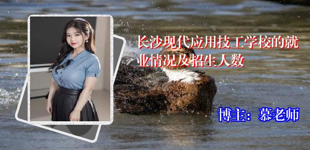 长沙现代应用技工学校的就业情况及招生人数
