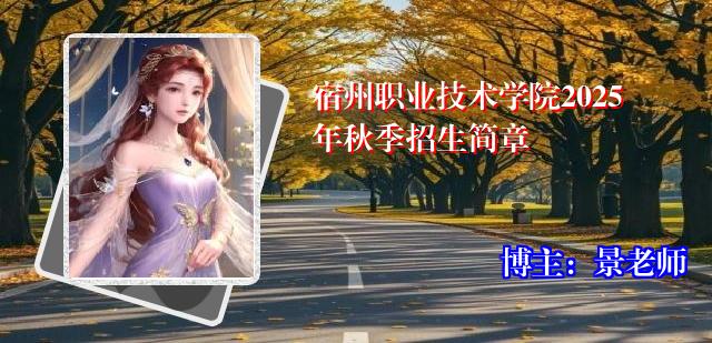 宿州职业技术学院2025年秋季招生简章