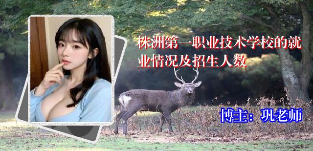 株洲第一职业技术学校的就业情况及招生人数