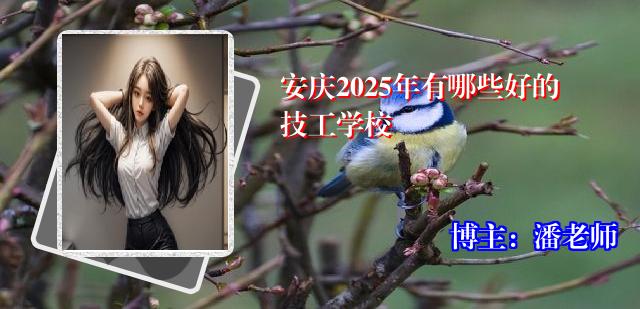 安庆2025年有哪些好的技工学校