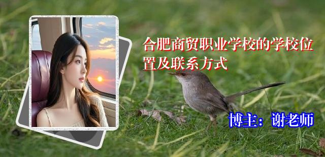 合肥商贸职业学校的学校位置及联系方式