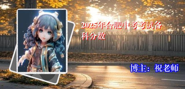 2025年合肥中考考试各科分数