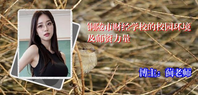 铜陵市财经学校的校园环境及师资力量