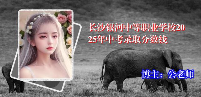 长沙银河中等职业学校2025年中考录取分数线