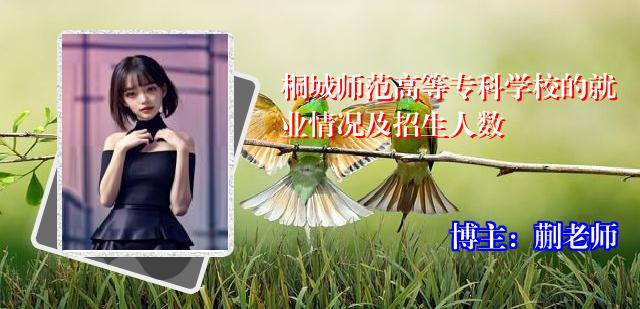 桐城师范高等专科学校的就业情况及招生人数