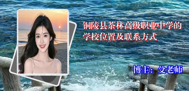 铜陵县茶林高级职业中学的学校位置及联系方式