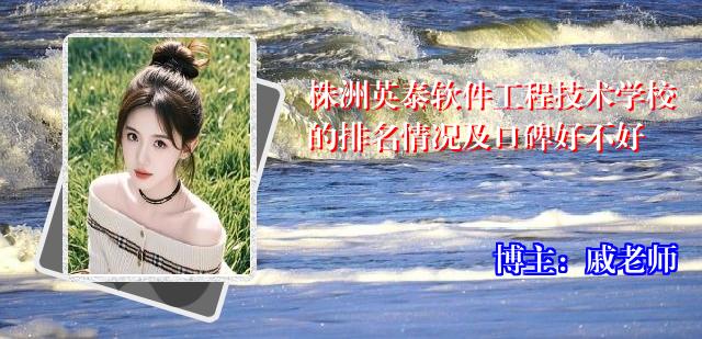 株洲英泰软件工程技术学校的排名情况及口碑好不好