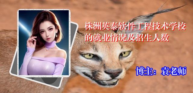 株洲英泰软件工程技术学校的就业情况及招生人数