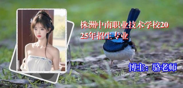 株洲中南职业技术学校2025年招生专业
