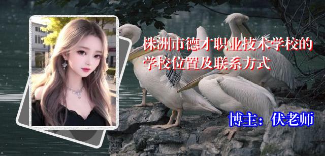 株洲市德才职业技术学校的学校位置及联系方式