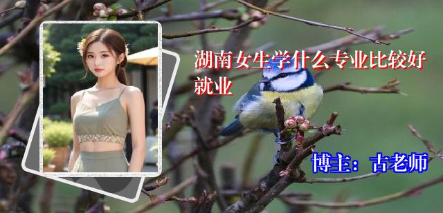 湖南女生学什么专业比较好就业