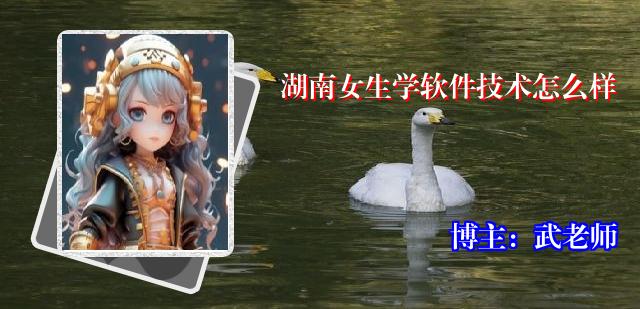 湖南女生学软件技术怎么样