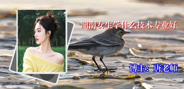 湖南女生学什么技术专业好