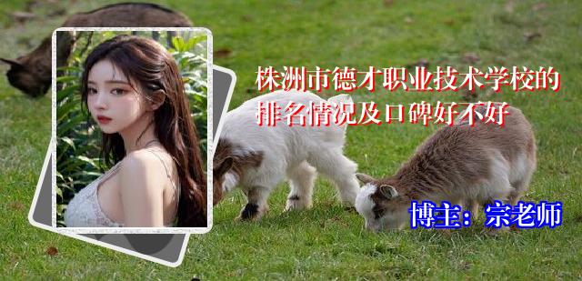 株洲市德才职业技术学校的排名情况及口碑好不好
