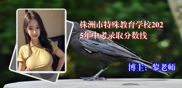 株洲市特殊教育学校2025年中考录取分数线