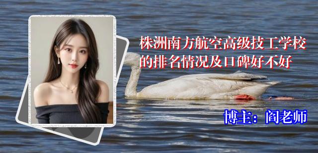 株洲南方航空高级技工学校的排名情况及口碑好不好