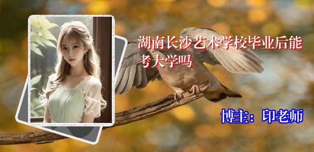 湖南长沙艺术学校毕业后能考大学吗