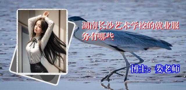 湖南长沙艺术学校的就业服务有哪些