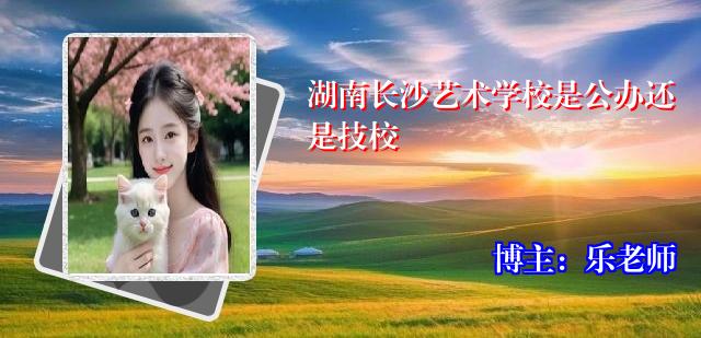 湖南长沙艺术学校是公办还是技校