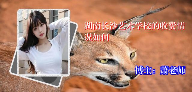湖南长沙艺术学校的收费情况如何