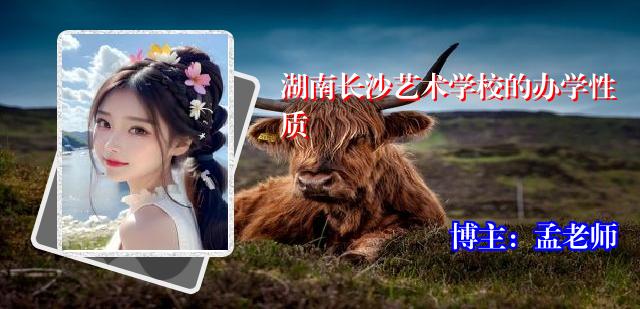 湖南长沙艺术学校的办学性质