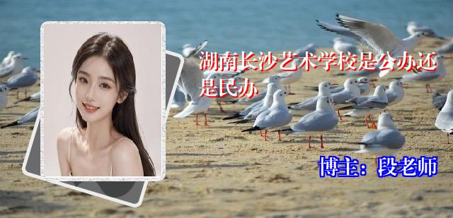 湖南长沙艺术学校是公办还是民办