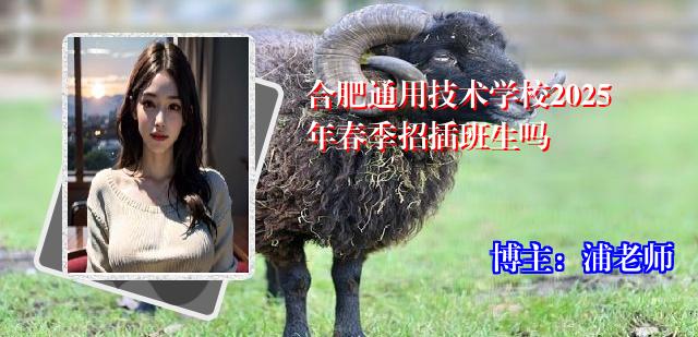合肥通用技术学校2025年春季招插班生吗