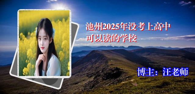 池州2025年没考上高中可以读的学校