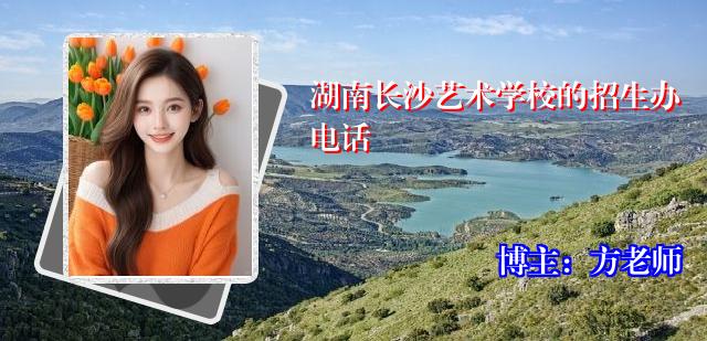 湖南长沙艺术学校的招生办电话