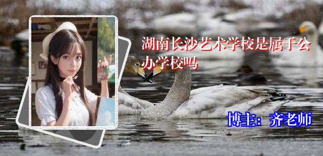 湖南长沙艺术学校是属于公办学校吗